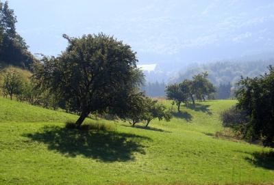 Landschaft und Natur Landschaft und Natur
