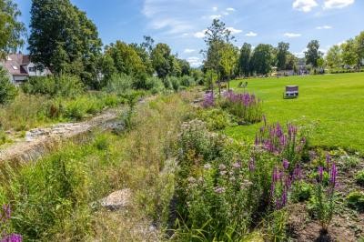 Erlebnisauen und Aktivpark Erlebnisauen und Aktivpark